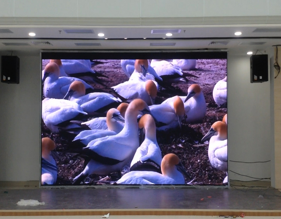 �|�L(f��ng)�ծa(ch��n)P2.5����ȫ��