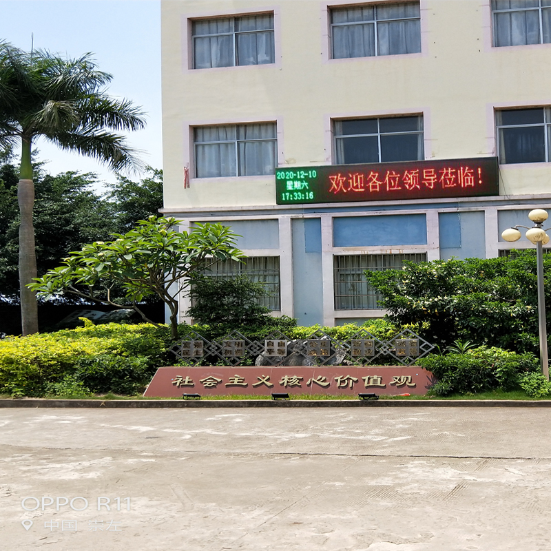 �����pɫP10-RG